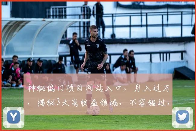 神秘偏门项目网站入口，月入过万，揭秘3大高收益领域，不容错过，赶紧来